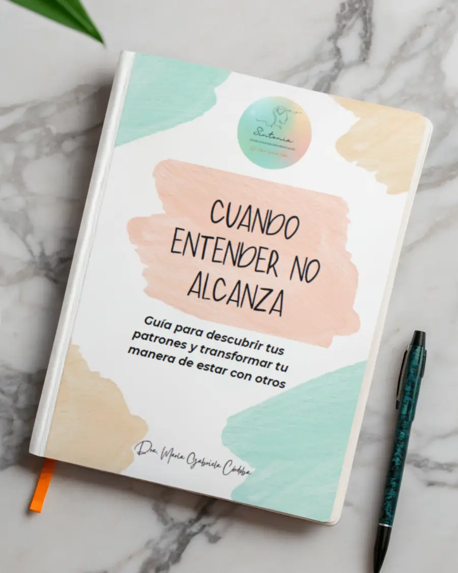 Portada del ebook Cuando entender no alcanza, de la Dra. María Gabriela Córdoba